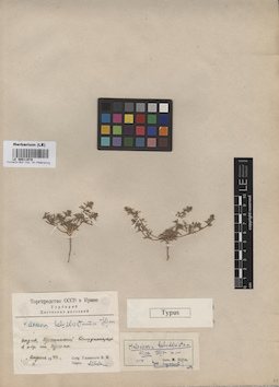LE 00011978