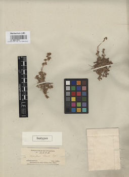 LE 00011979