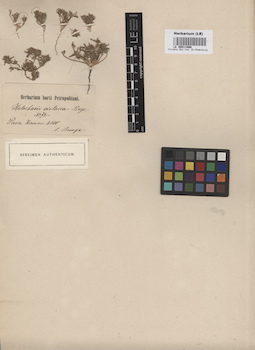 LE 00011986
