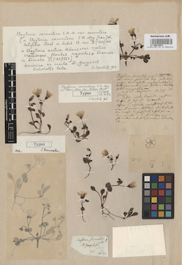 LE 00012043