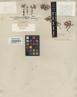 LE 00012046