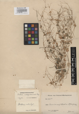 LE 00012051