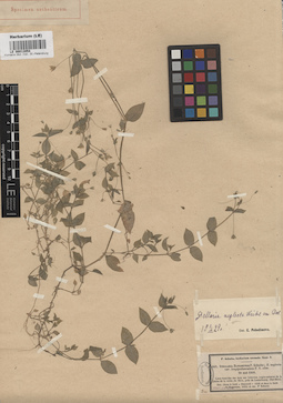 LE 00012054