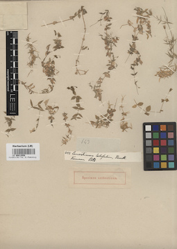 LE 00012058