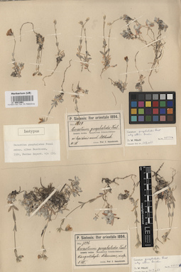 LE 00012061