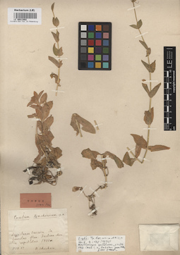 LE 00012062