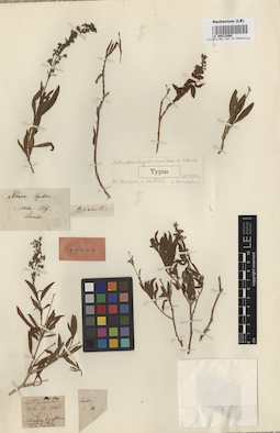 LE 00012068