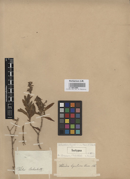 LE 00012069