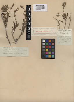 LE 00012070