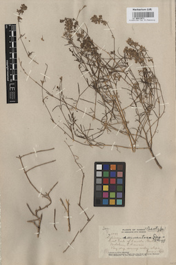 LE 00012071