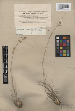 LE 00012072