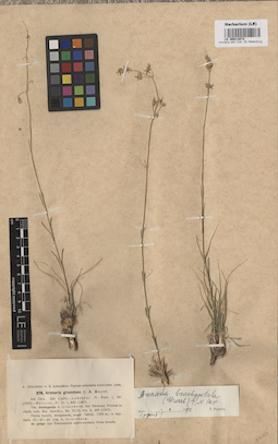 LE 00012073