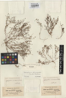 LE 00012075