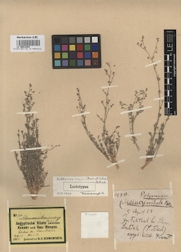 LE 00012084