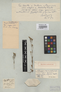 LE 00012085