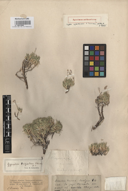 LE 00012089