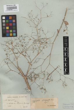 LE 00012092