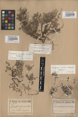 LE 00012093