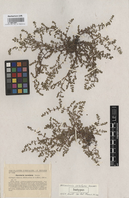 LE 00012097