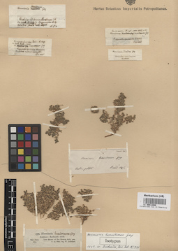 LE 00012099