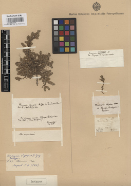 LE 00012101