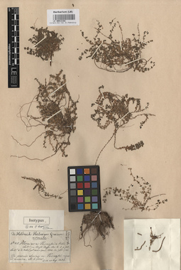LE 00012102
