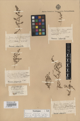 LE 00012105