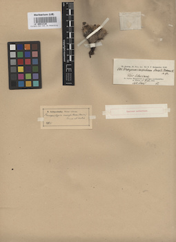 LE 00012128