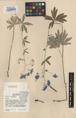 LE 00012151