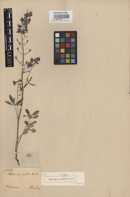 LE 00012153
