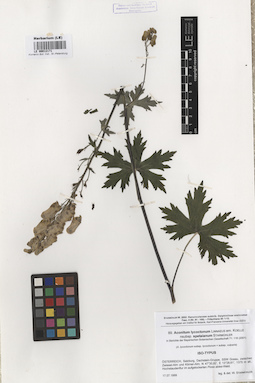 LE 00012171