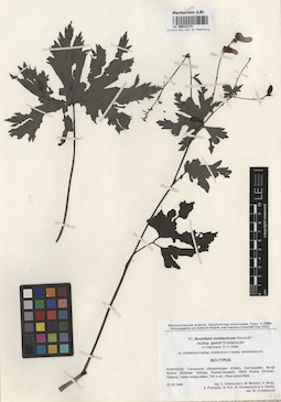 LE 00012174