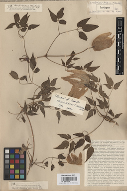 LE 00012190