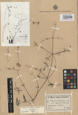 LE 00012192