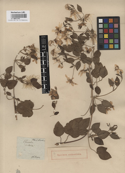 LE 00012193