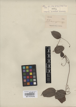 LE 00012194