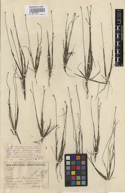LE 00012196