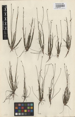 LE 00012197