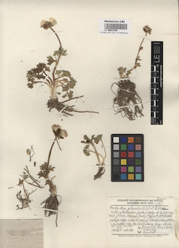 LE 00012198