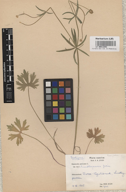 LE 00012253