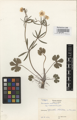 LE 00012254