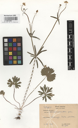 LE 00012264