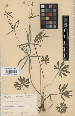 LE 00012275