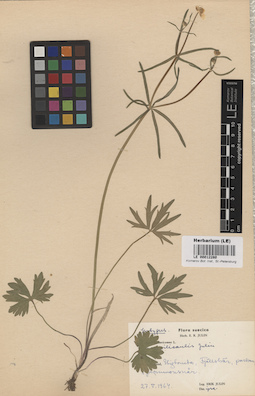 LE 00012280