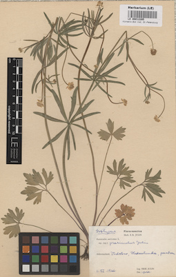 LE 00012285