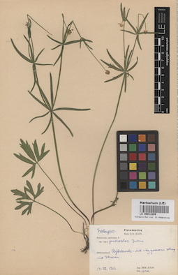 LE 00012289