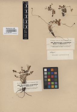 LE 00012307
