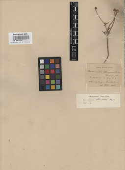 LE 00012310