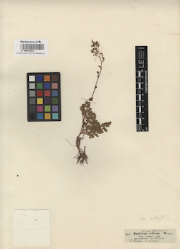 LE 00012327