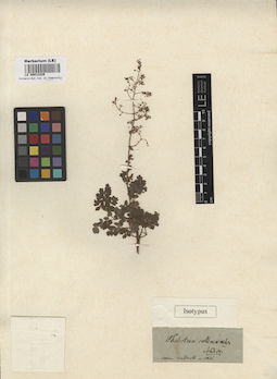 LE 00012329